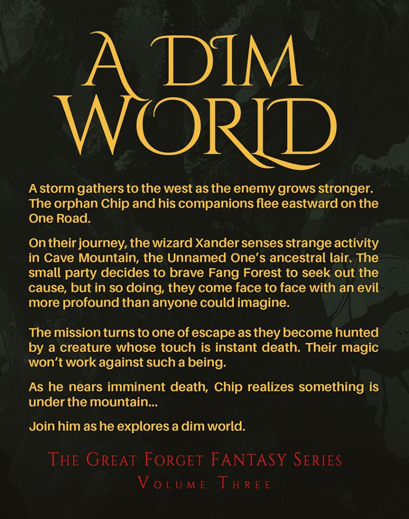 A Dim World - The Great Forget Fantasy Series Volume Three Back Cover